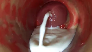 Twink Porn Videos 5